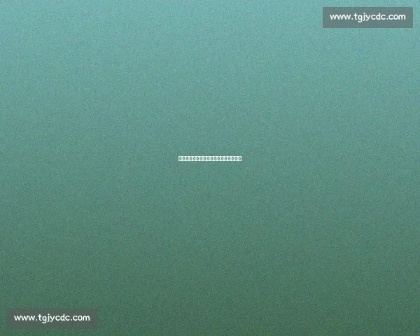 抄近道的聪明哲学：高效做事的底层逻辑