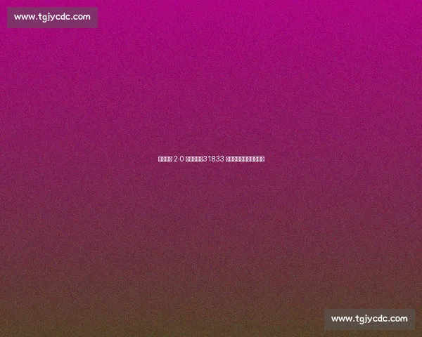 盐城主场 2-0 力克镇江！31833 名球迷见证苏超榜首之争