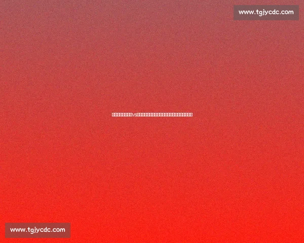 挪甲焦点战松达尔vs桑纳菲实力对决与走势前瞻解析全面剖析看点汇总